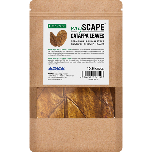 ARKA mySCAPE - Catappa leaves - atogrąžų migdolų lapai (10vnt.)