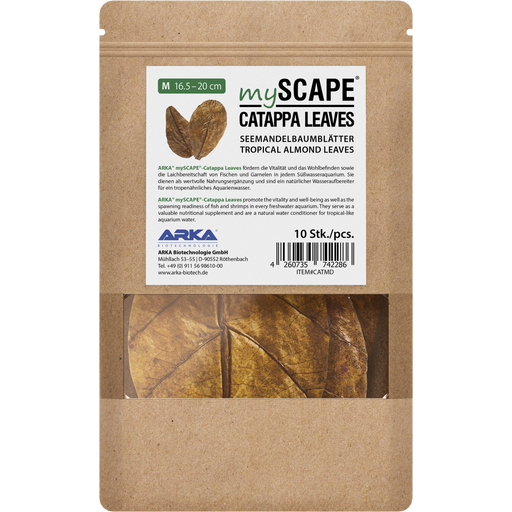 ARKA mySCAPE - Catappa leaves - atogrąžų migdolų lapai (10vnt.)