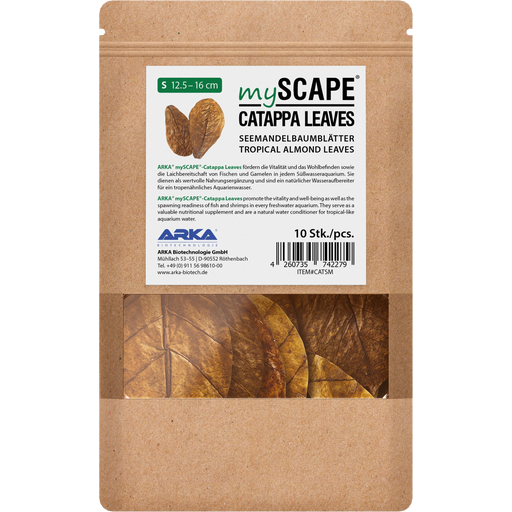 ARKA mySCAPE - Catappa leaves - atogrąžų migdolų lapai (10vnt.)