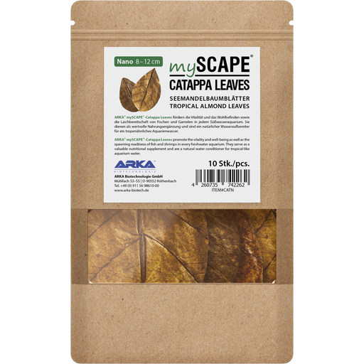 ARKA mySCAPE - Catappa leaves - atogrąžų migdolų lapai (10vnt.)