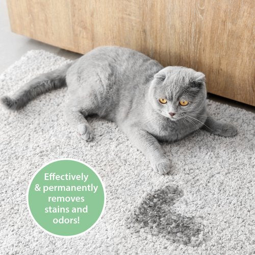 ARKA PIPI-GONE Cat - kačių dėmių ir kvapų valiklis