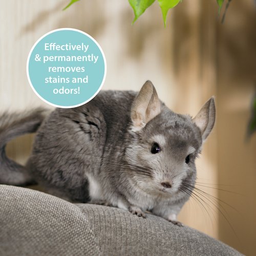 ARKA PIPI-GONE Rodent - graužikų dėmių ir kvapų valiklis