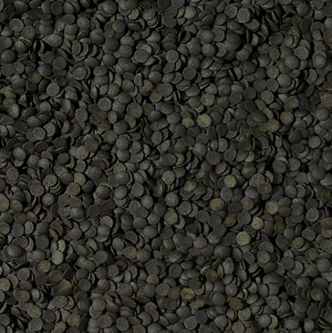Tropical Spirulina Super Forte chips - maistas žuvims