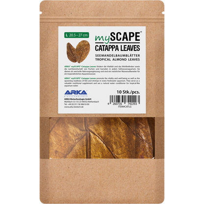 ARKA mySCAPE - Catappa leaves - atogrąžų migdolų lapai (10vnt.)