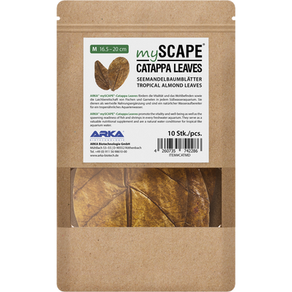 ARKA mySCAPE - Catappa leaves - atogrąžų migdolų lapai (10vnt.)