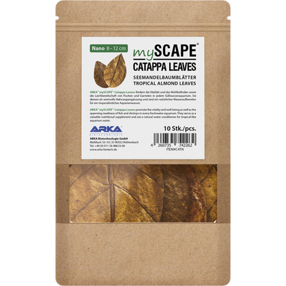 ARKA mySCAPE - Catappa leaves - atogrąžų migdolų lapai (10vnt.)