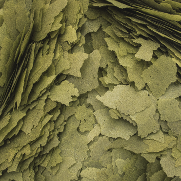 Tropical 3-Algae Flakes - maistas žuvims