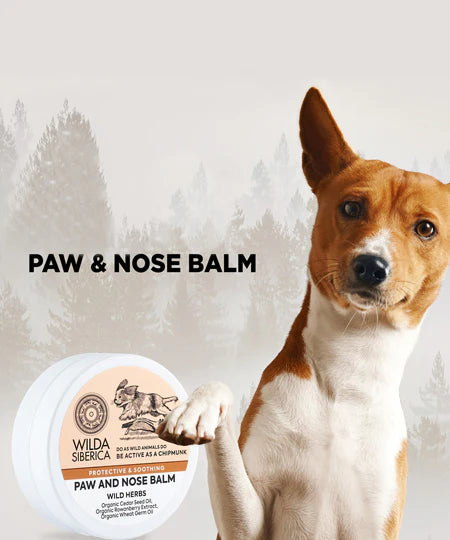 Wild Siberica Paw and Nose Balm - letenų ir nosies balzamas 40g.