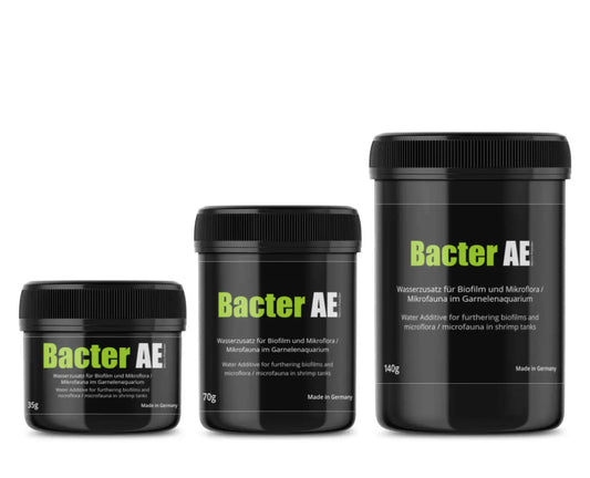 GlasGarten - Bacter AE
